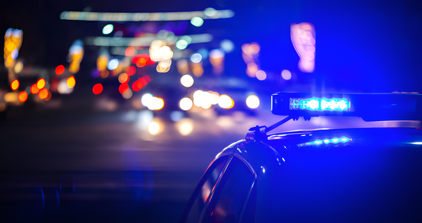 Lee más sobre el artículo Profesionalización