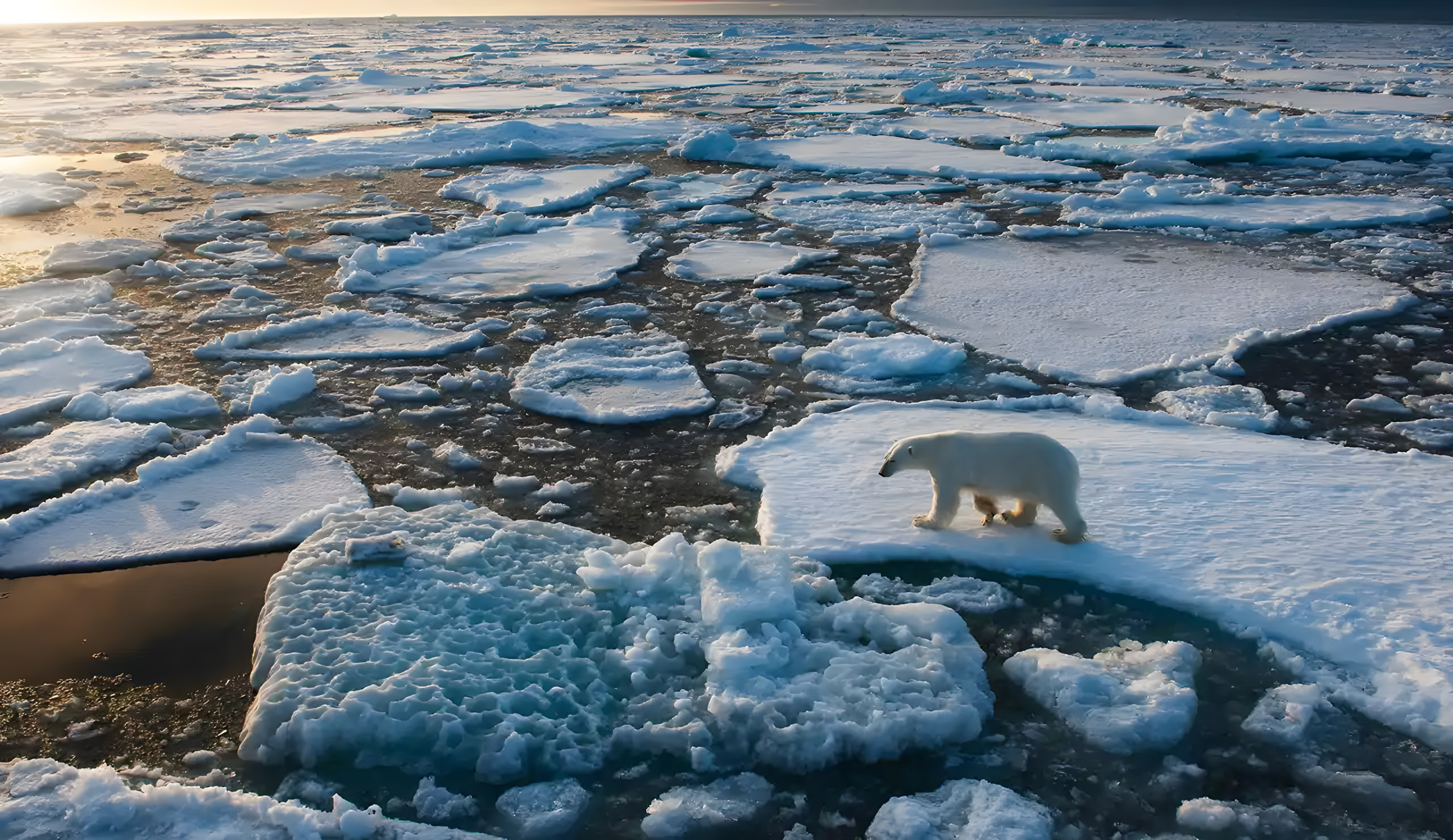 Lee más sobre el artículo Retos