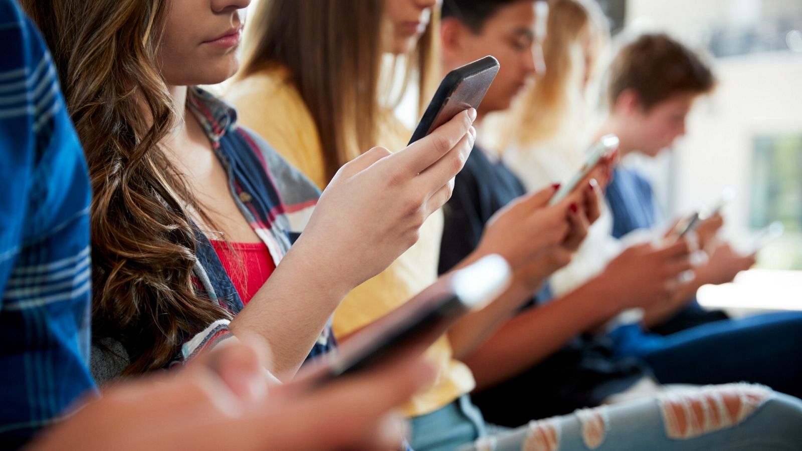 Lee más sobre el artículo Generación Z México: heno y cieno